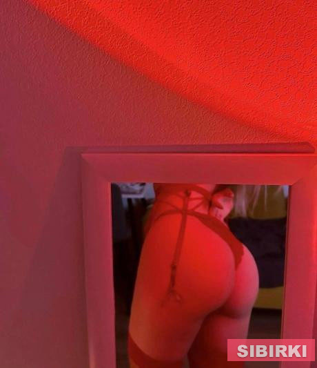 ����������� �12231